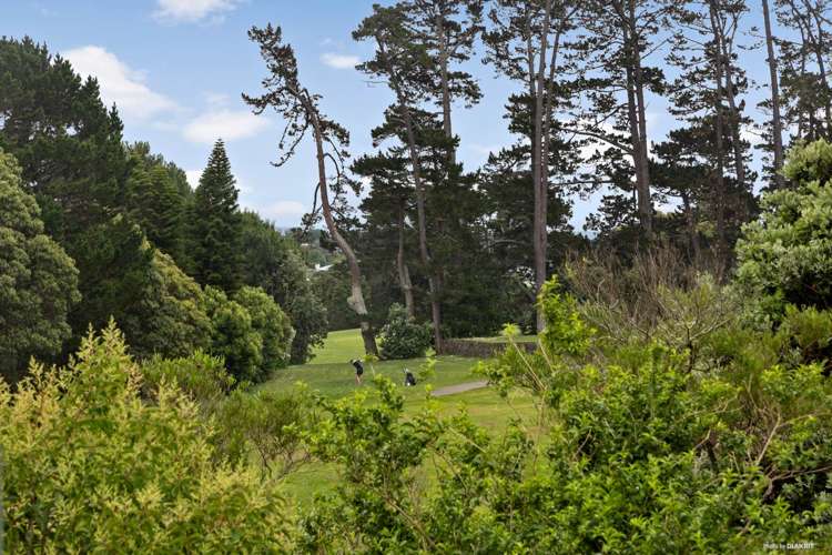 5/56 Linwood Avenue Mount Albert_12