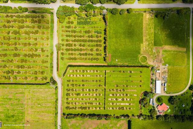 146 Bint Road Maungakaramea_2