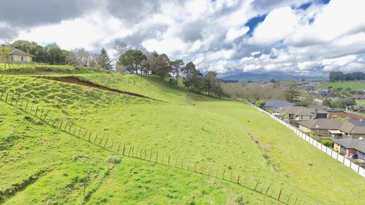 866 Bond Road Te Awamutu_19