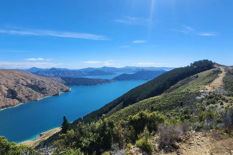 Lot 1 Anakoha Bay Marlborough Sounds_39