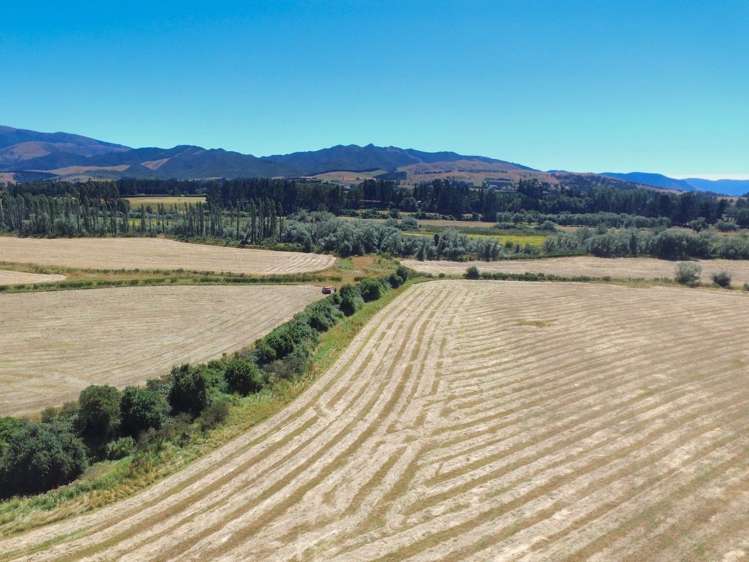 37 Sladdens Farm Road Oxford_9