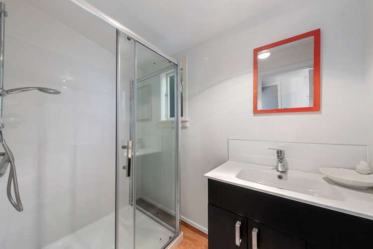 10 Shelley Street Sydenham_17