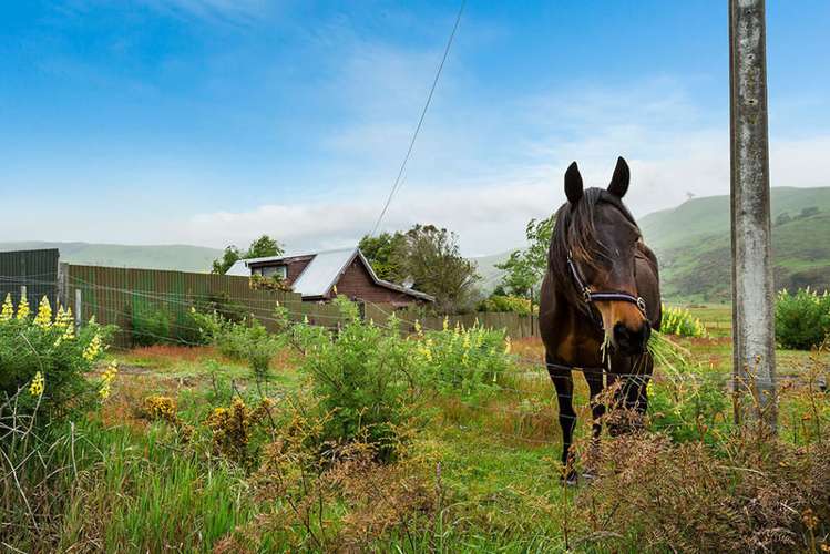 102 Harwood Street Harwood_17