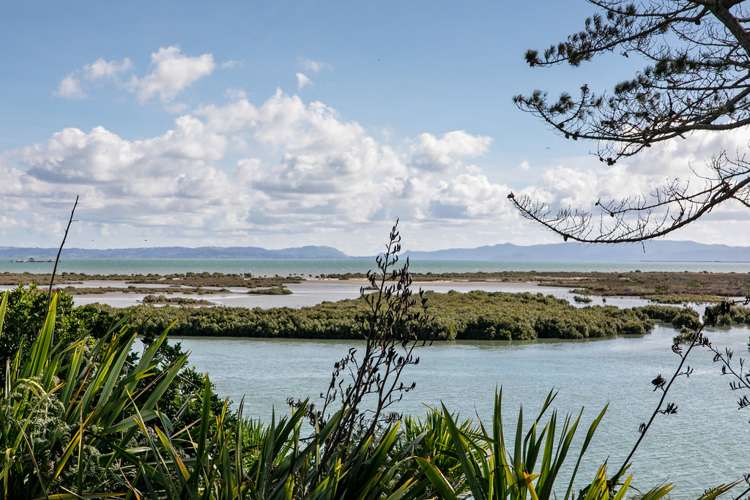 139 Finlayson Avenue Clendon Park_16