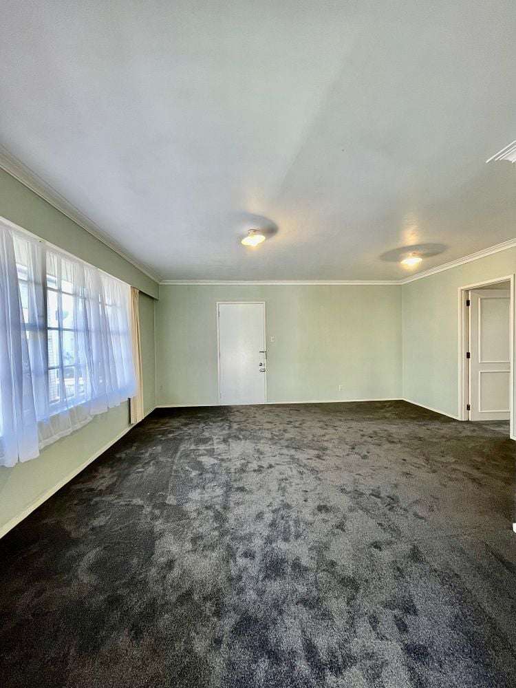 2/277 Manukau Road Epsom_10