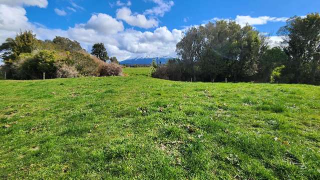 544 Surrey Road Tariki_3