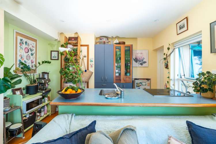 15 Thane Road Roseneath_17