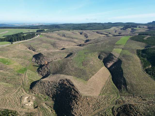 Lot 2/339 Rankleburn Road Rankleburn_4