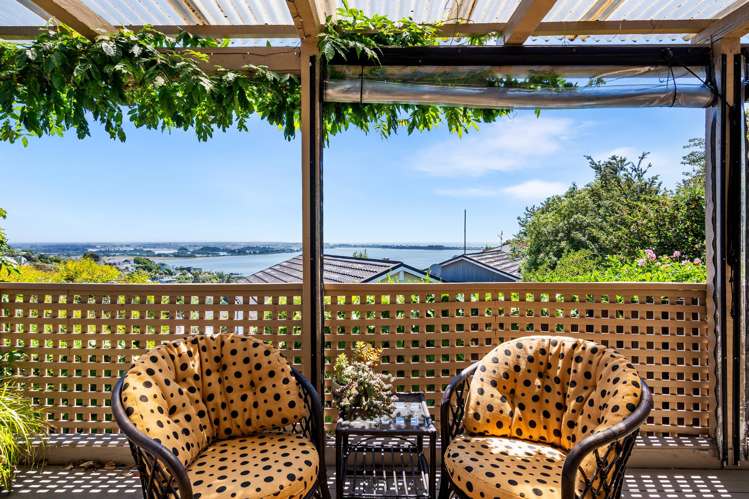 65 Soleares Avenue Mount Pleasant_4