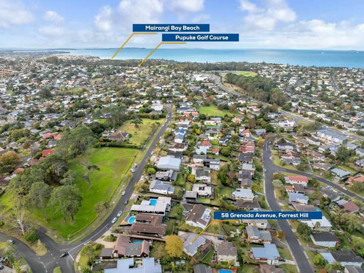 58 Grenada Avenue Forrest Hill_28