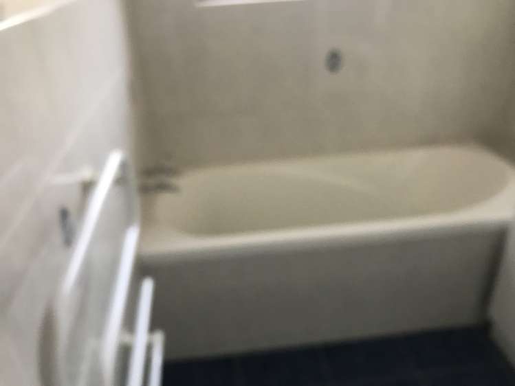 209 Te Irirangi Drive Flat Bush_10