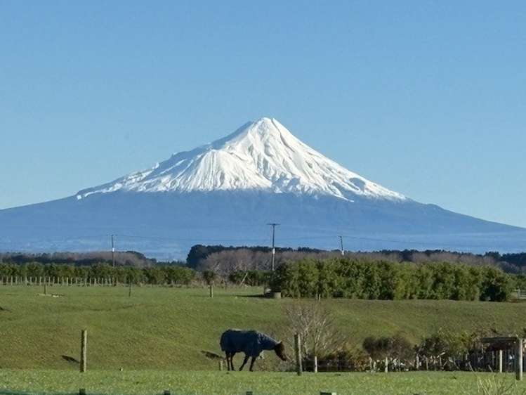 239 Whakamara Road, Manutahi_5