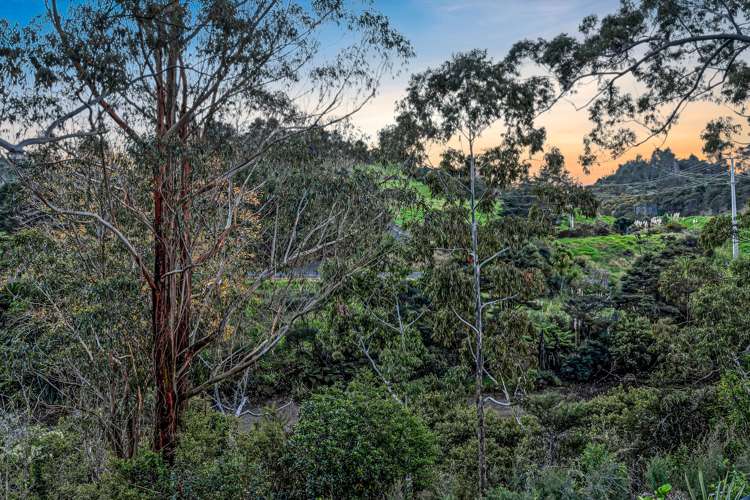 22 Puruatanga Road Millwater_27