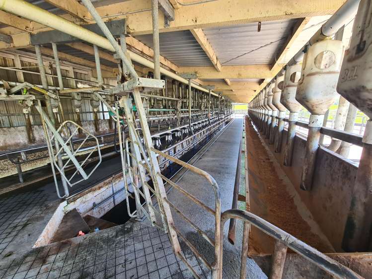 3009 Carrington Road Okato_3