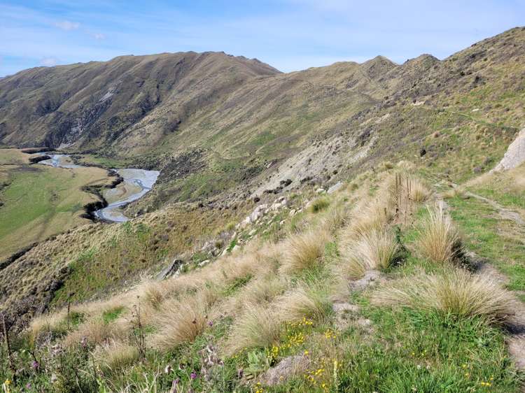 72 Wrights Road Waitaki_11