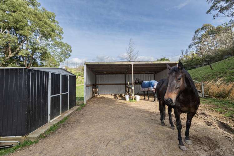 307 Whananaki North Road Opuawhanga_14