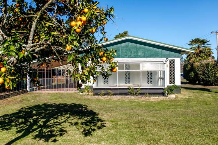 87 College Road Edgecumbe_2