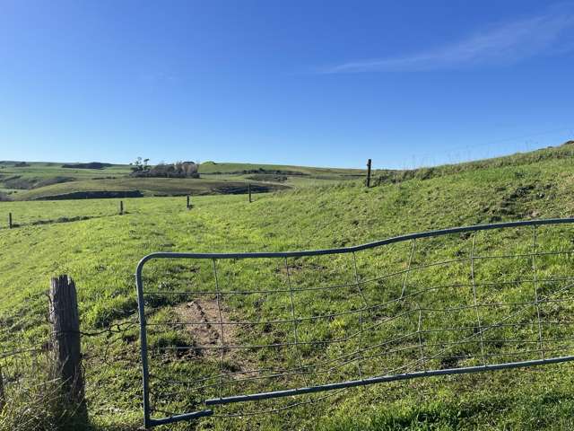 0n Skeet Road Te Roti_4