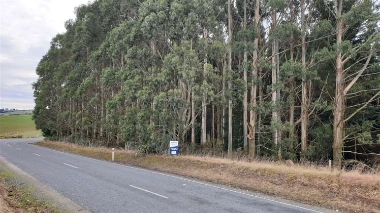 Tuapeka West Road Lawrence_3