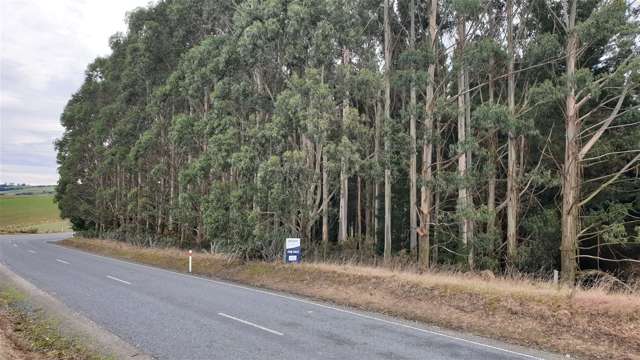 Tuapeka West Road Lawrence_3