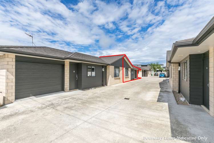 2/3 Primrose Street Frankton_15