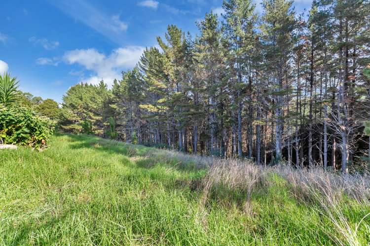 Campbell Road Parua Bay_6