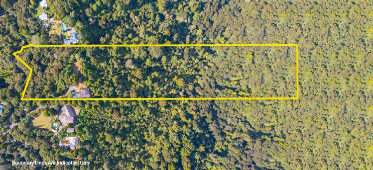 96 Opanuku Road Henderson Valley_26