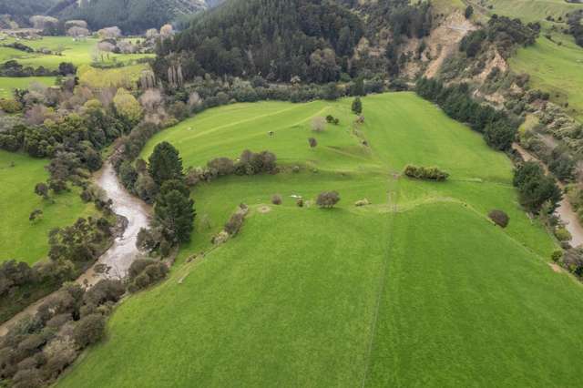 1471 Mangamahu Road Mangamahu_4