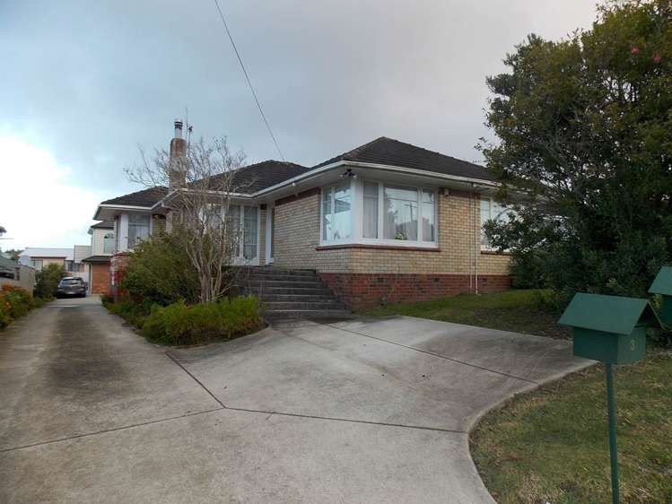 3 Mcgowan Street Mount Roskill_0
