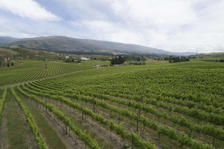 Cairnmuir Road Nevis_8