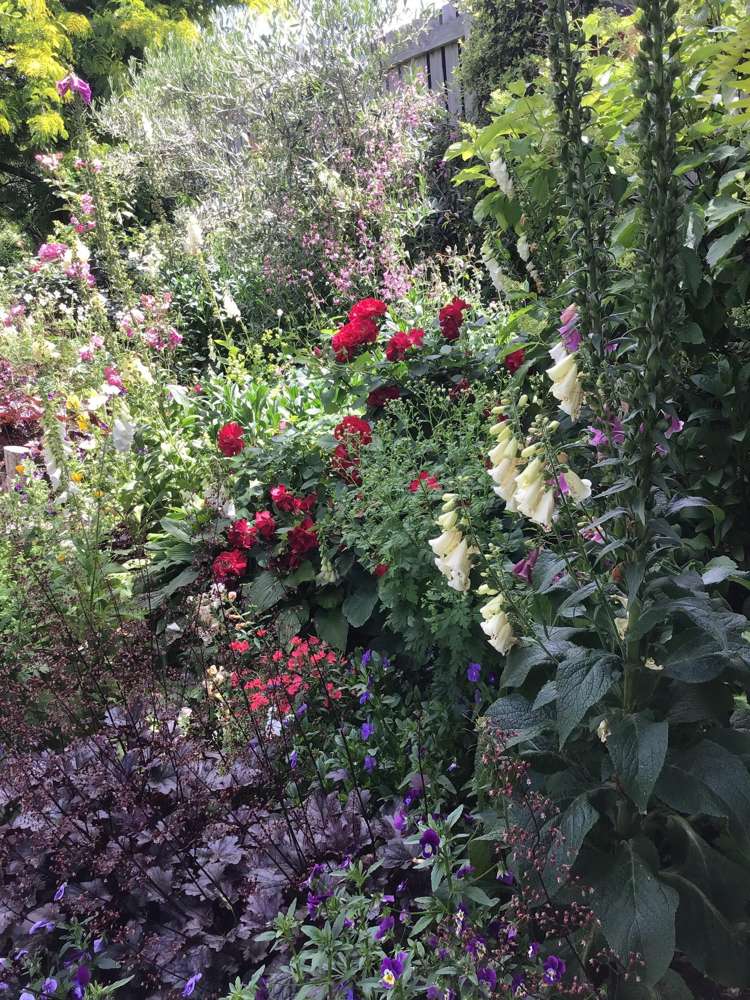 61 Shields Street Clyde_17