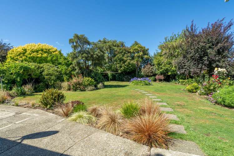 29 Wellesley Avenue Avenal_29