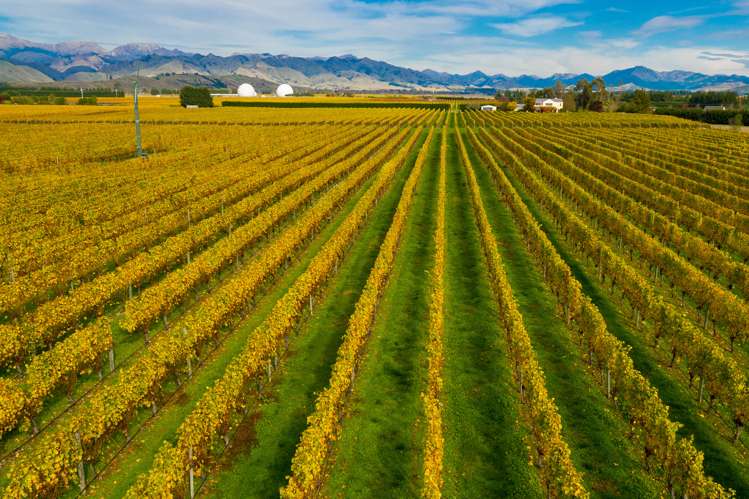 96 Shandon Road Waihopai Valley_8