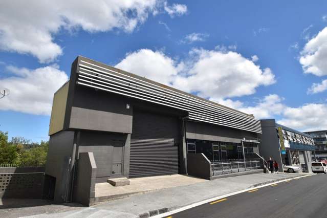 13 Ophir Street Newton_2