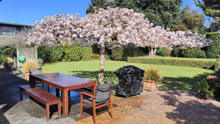 7 Douglas Street Paraparaumu Beach_22