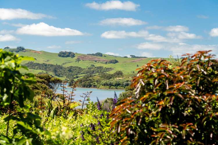 51 Norrie Avenue Raglan_15