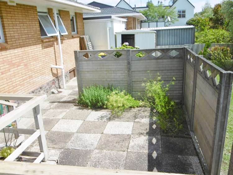 9/81 Shakespeare Road Milford_13