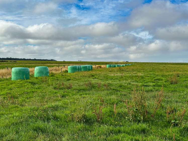 1025 Waimatuku Bush Road Taramoa_12