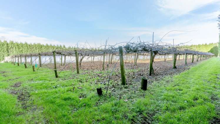 9765 State Highway 2 Waihi_11