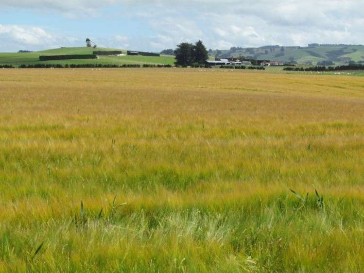 734 Crichton Road Milton_24