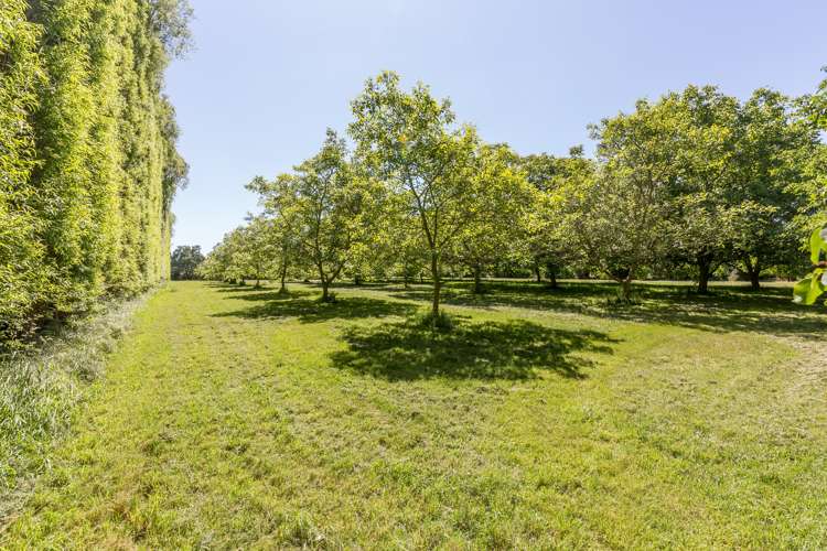 27 Guys Road Yaldhurst_24