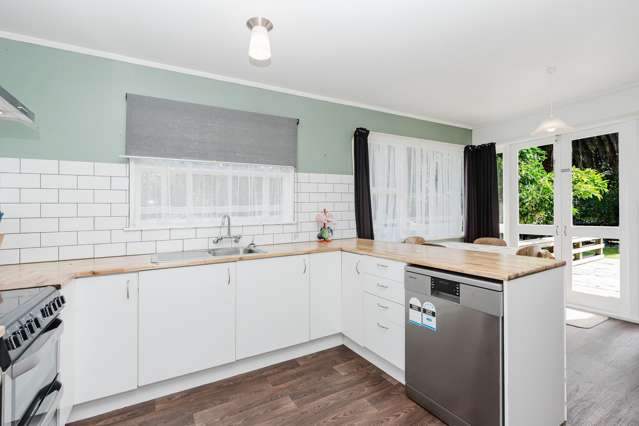 70 Livingstone Avenue Nawton_4