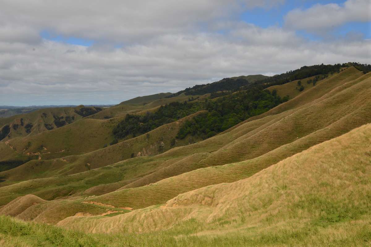 1295 Marokopa Road_5