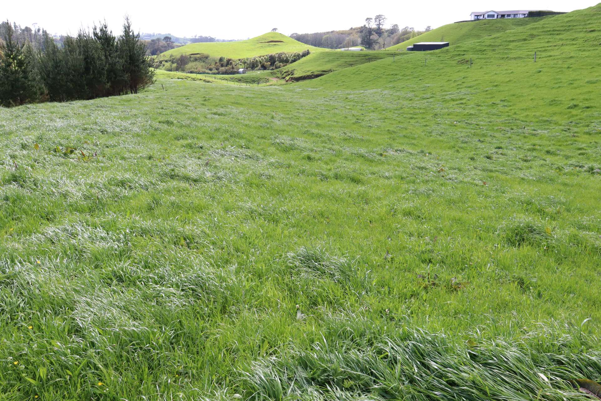 121 Tarata Road Inglewood_0