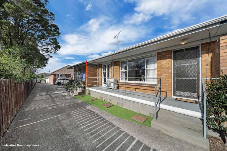 3/63 Parker Avenue New Lynn_19