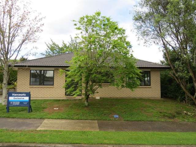 38 Argyle Avenue Levin_4