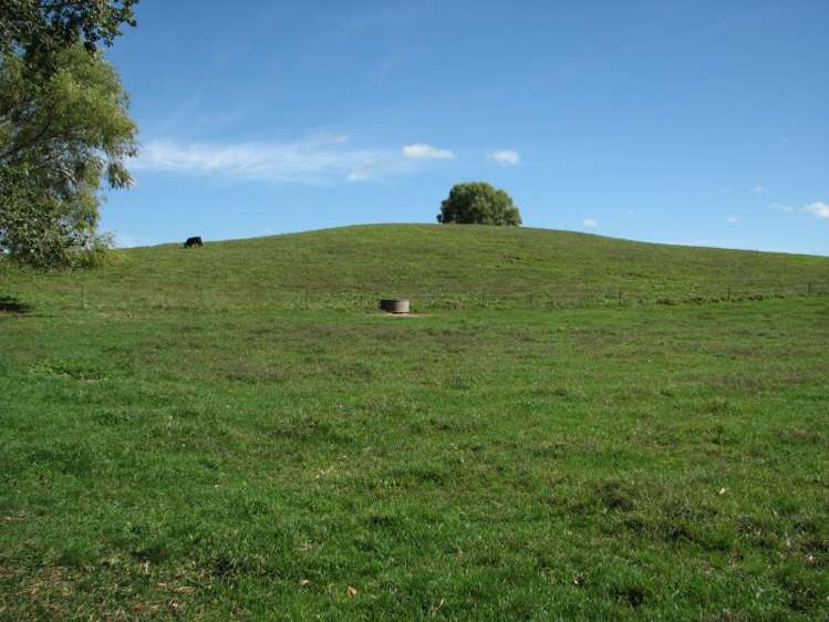 205 Gunn Road Waharoa_5