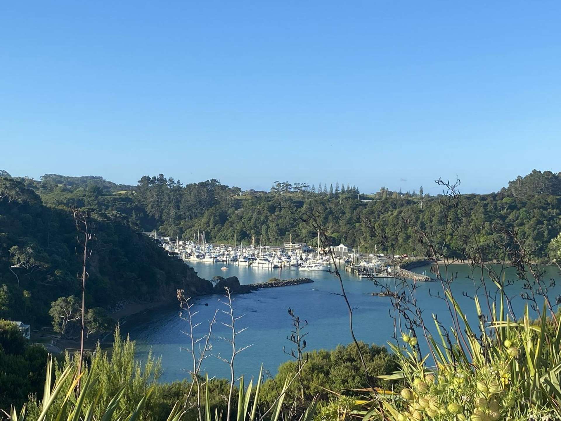 55 Tutukaka Block Road 11634_0