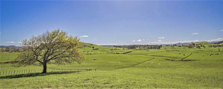 171 Martin Road Waerenga_21