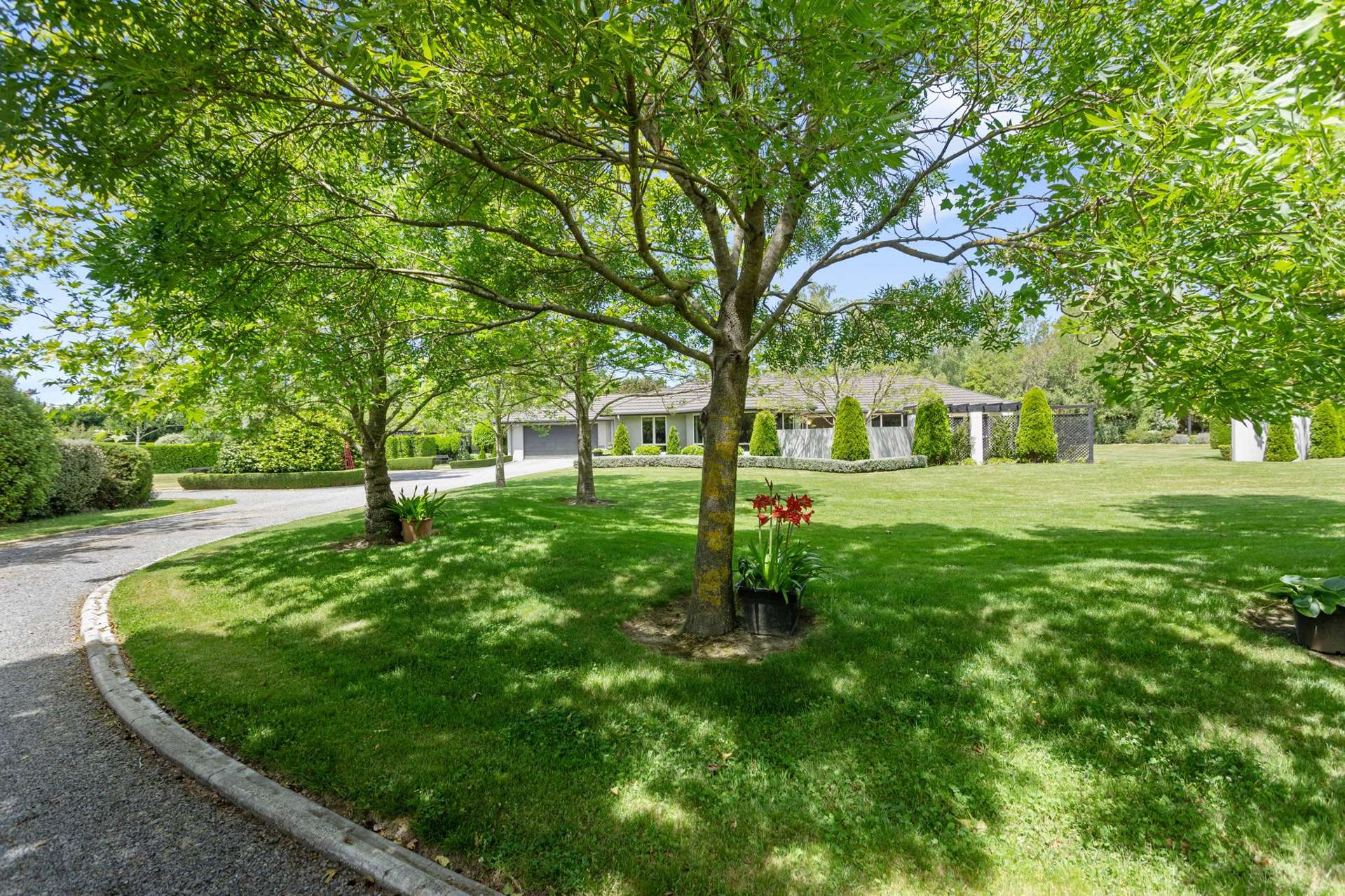 256 O'Roarkes Road Fernside_0